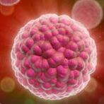 Causes of human papilloma